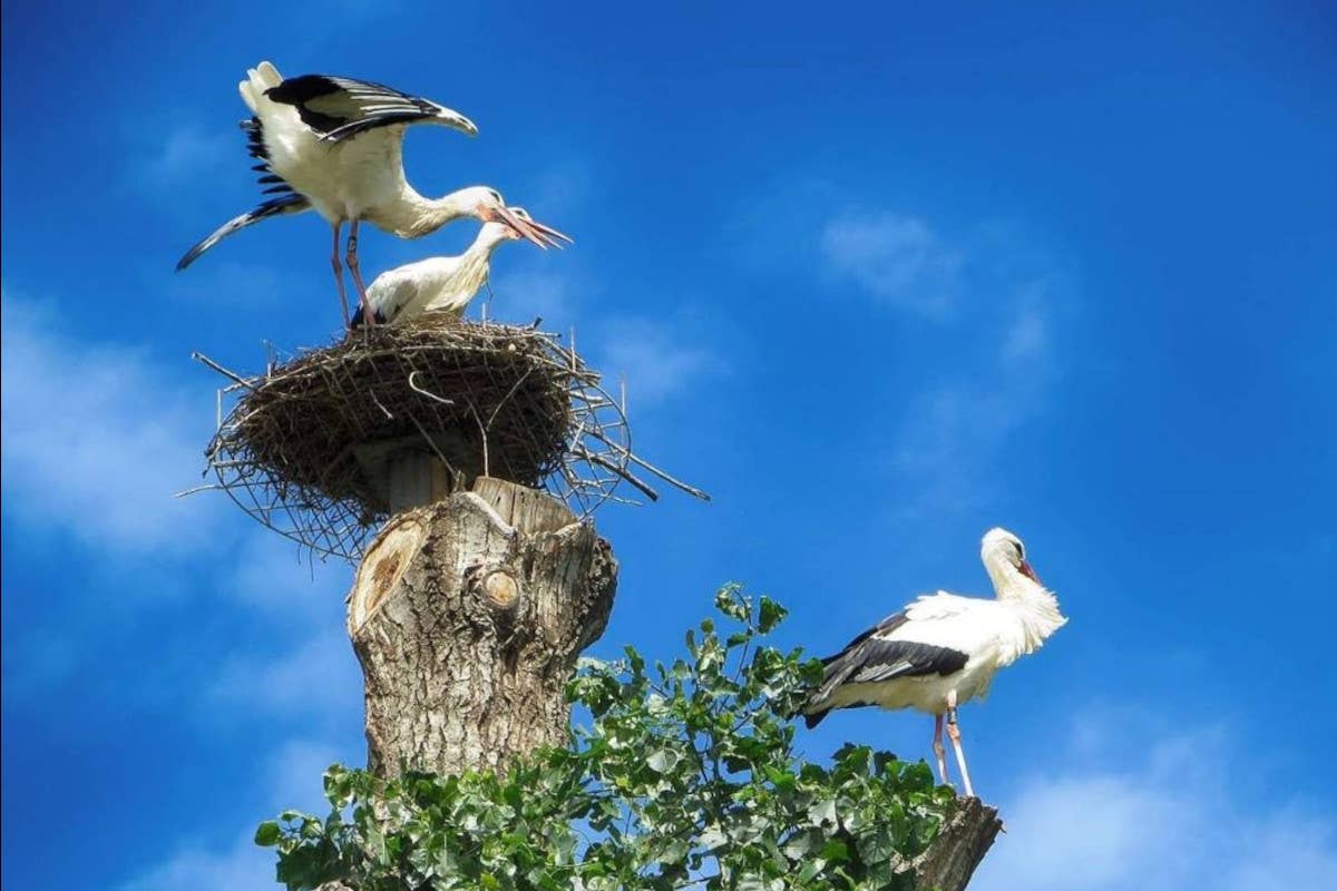 Primavera in famiglia? Ecco tutto quello che si può fare in Friuli-Venezia Giulia