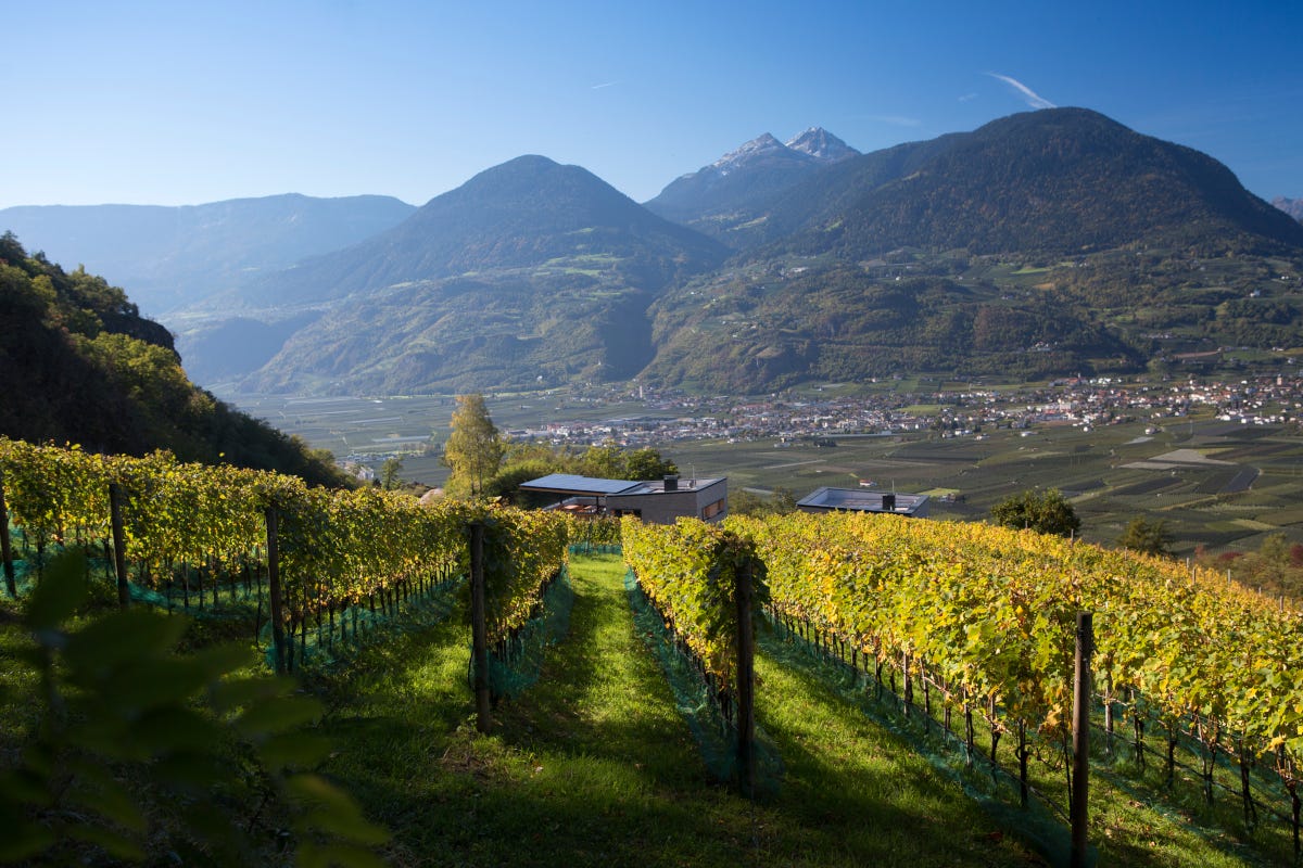 Tenuta vinicola Eichenstein Wine resort per godersi l'autunno e la vendemmia. Ecco alcuni dei più romantici