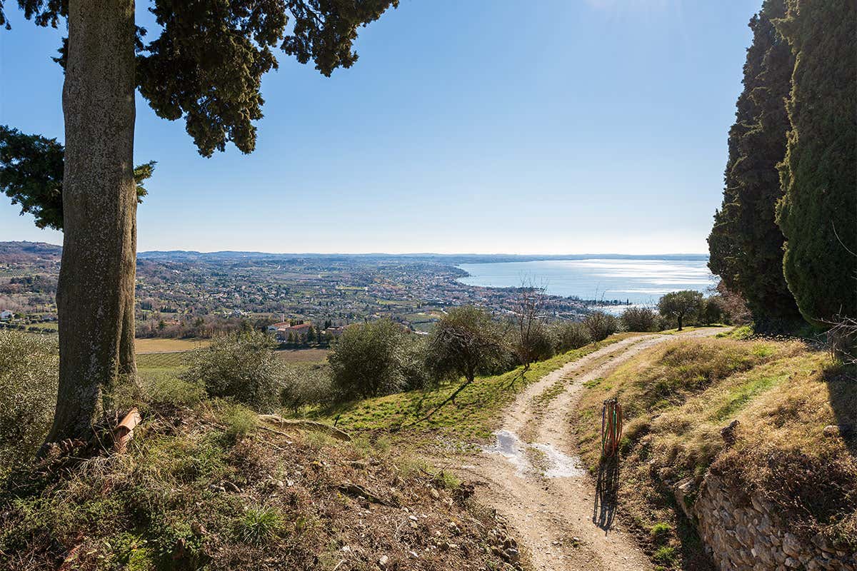 Una strada dell'olio sul Garda, da fare anche in bicicletta