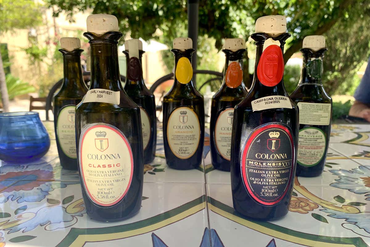 Molise, una regione ad alto tasso di biodiversità tutta da scoprire Molise, una regione ad alto tasso di biodiversità tutta da scoprire