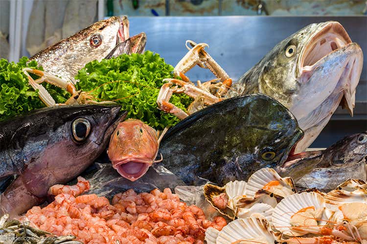 Nutriente e adatto ad ogni preparazione  Il pesce &egrave; il re dei menu delle feste