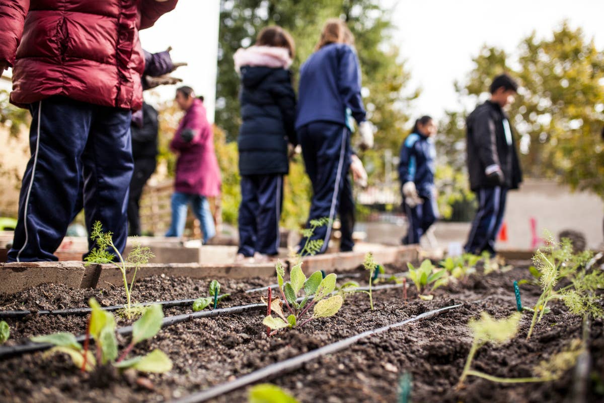 “Orti di Lombardia”: al via il bando da 150mila euro per scuole e Comuni