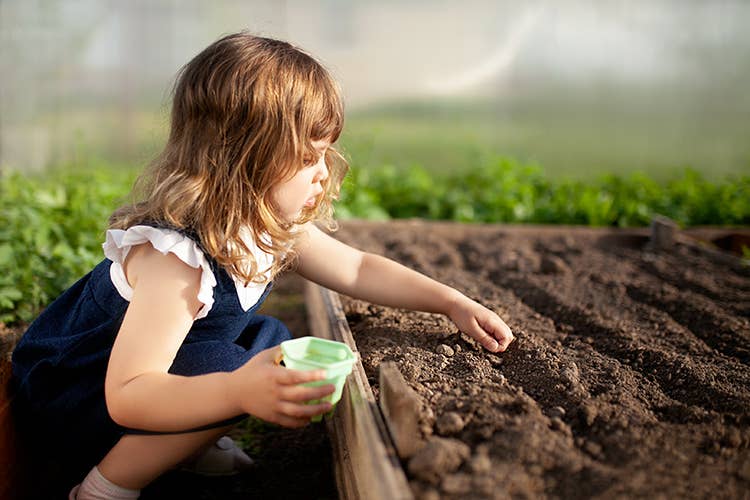 Il Comune pubblica le linee guida per i nuovi orti didattici - Scuola, Milano pensa green con le linee guida per orti didattici