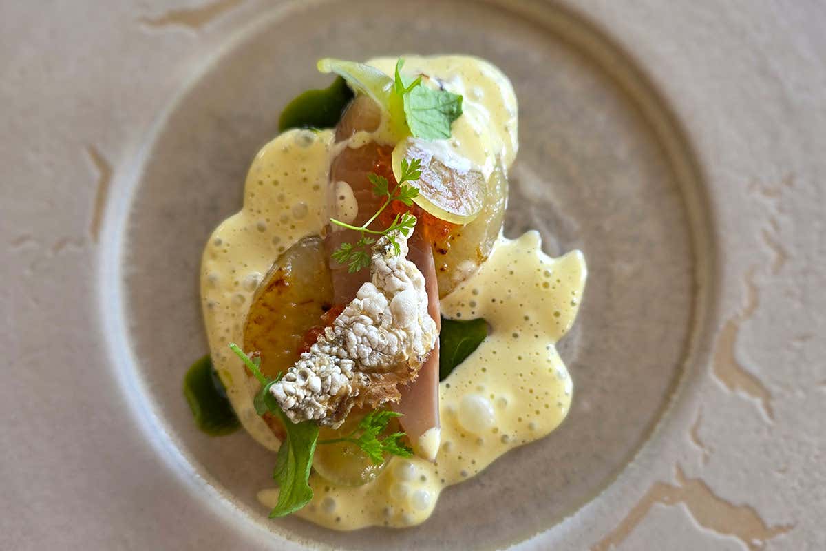 L’arte di Osmosi: il gusto passa attraverso il territorio nel ristorante di Montepulciano L’arte di Osmosi: il gusto passa attraverso il territorio nel ristorante di Montepulciano