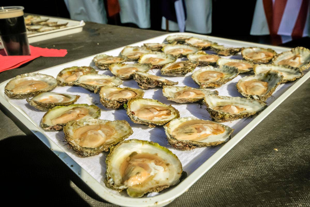 In Irlanda il Galway Oyster Festival è dedicato all'ostrica La giornata mondiale delle ostriche celebra un animale amico dell'ambiente