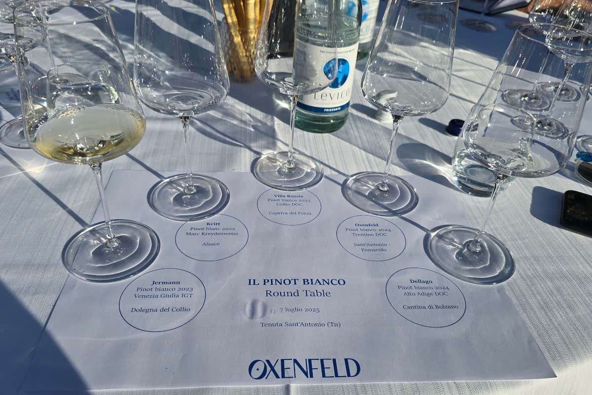 Valérie Bossi Fedrigotti brinda con il Pinot Bianco Oxenfeld Valérie Bossi Fedrigotti brinda con il Pinot Bianco Oxenfeld