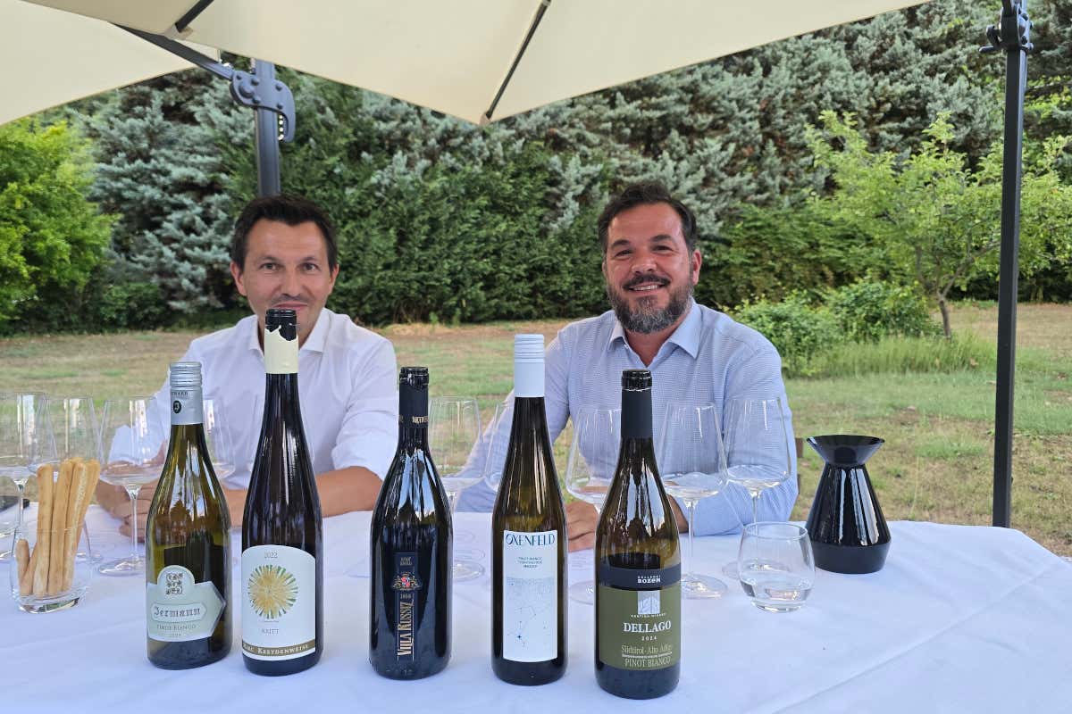 Valérie Bossi Fedrigotti brinda con il Pinot Bianco Oxenfeld Valérie Bossi Fedrigotti brinda con il Pinot Bianco Oxenfeld