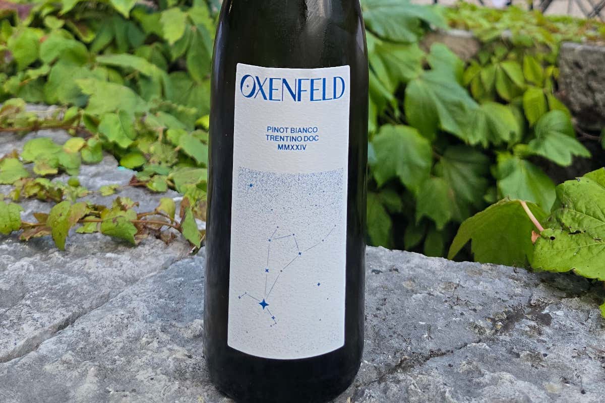 Valérie Bossi Fedrigotti brinda con il Pinot Bianco Oxenfeld Valérie Bossi Fedrigotti brinda con il Pinot Bianco Oxenfeld