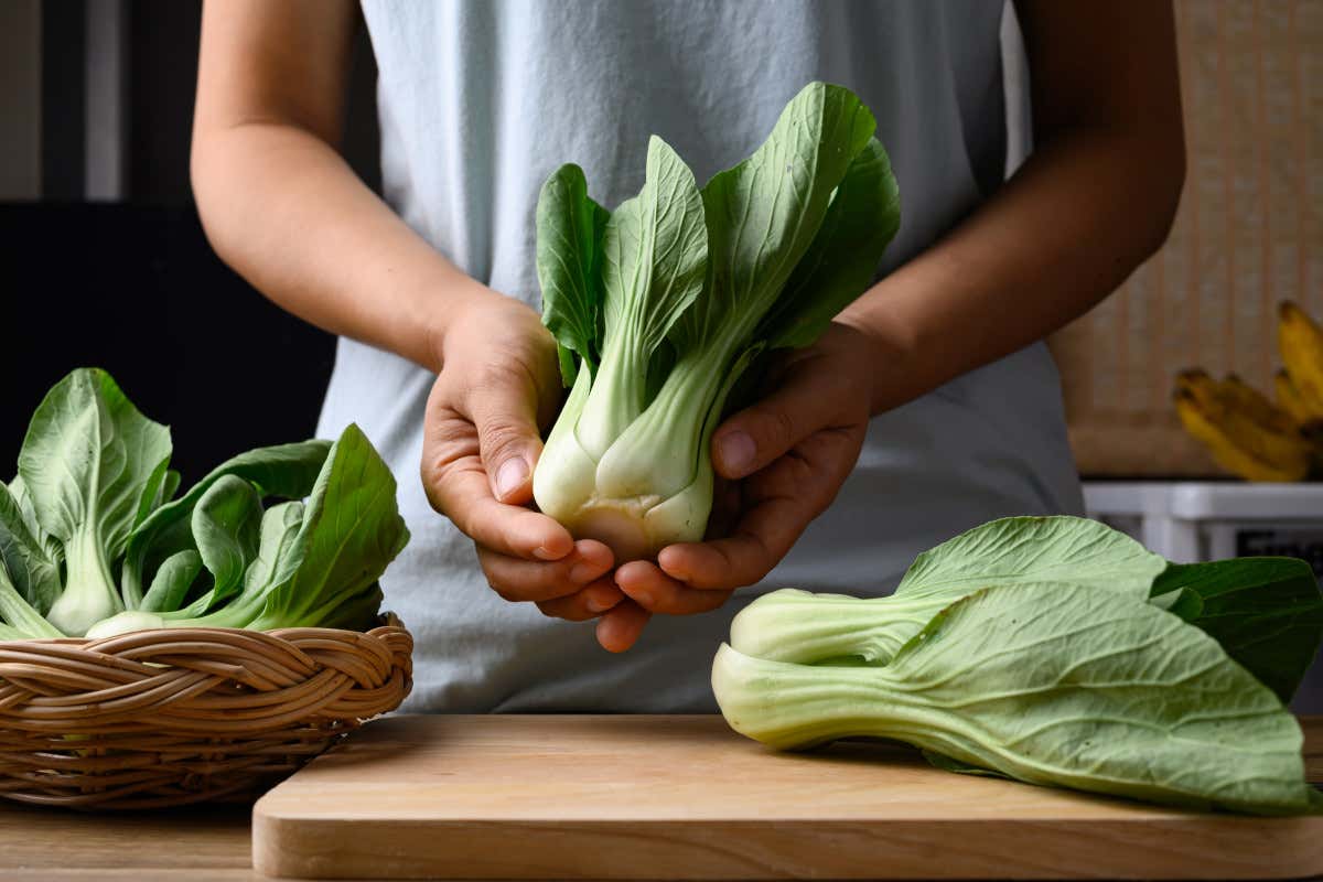 Pak choi: che cos'è, perché fa bene alla salute e come si cucina Pak choi: che cos'è, perché fa bene alla salute e come si cucina