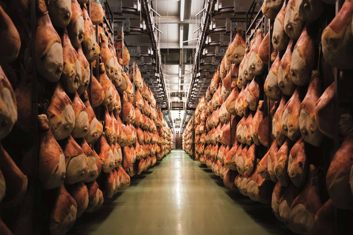 Prosciutto di Carpegna Dop: un 2024 di crescita e rafforzamento del marchio