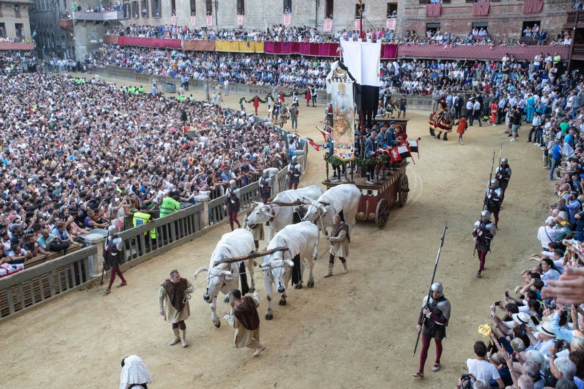 Il Palio di Siena: cultura, tradizione e patrimonio di un'intera città