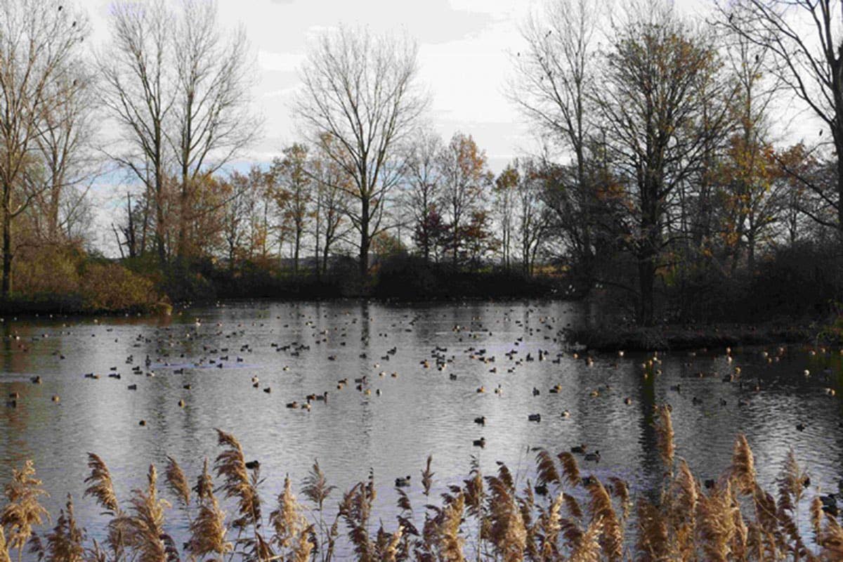 Cittaslow d’Acqua Dolce, le comunità di fiume si incontrano
