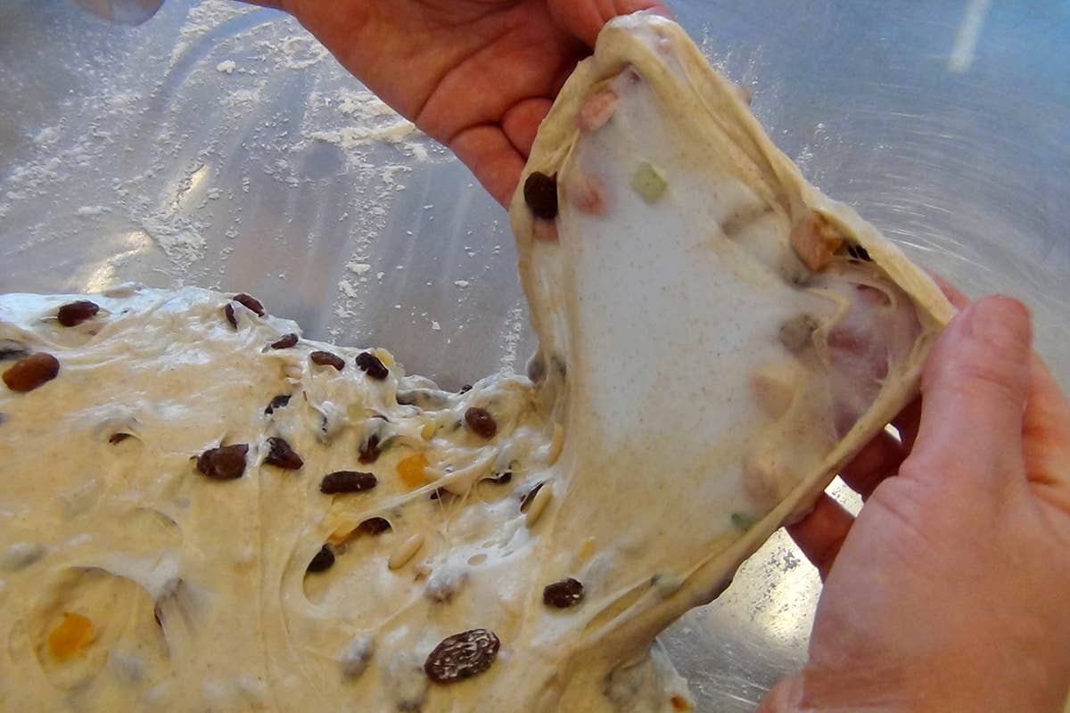 Impasto del pandolce con Vitala+ Grano Saraceno Vitala, farine e miscele di qualità per grandi lievitati