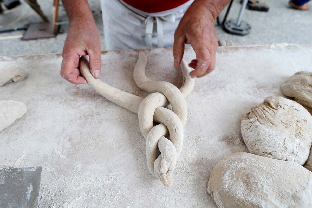 Il panificatore oggi: custode delle radici e imprenditore con il grembiule Il panificatore oggi: custode delle radici e imprenditore con il grembiule