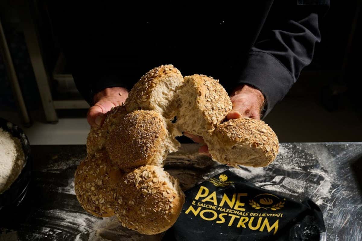Pane Nostrum 2025: Senigallia diventa capitale dell’arte bianca