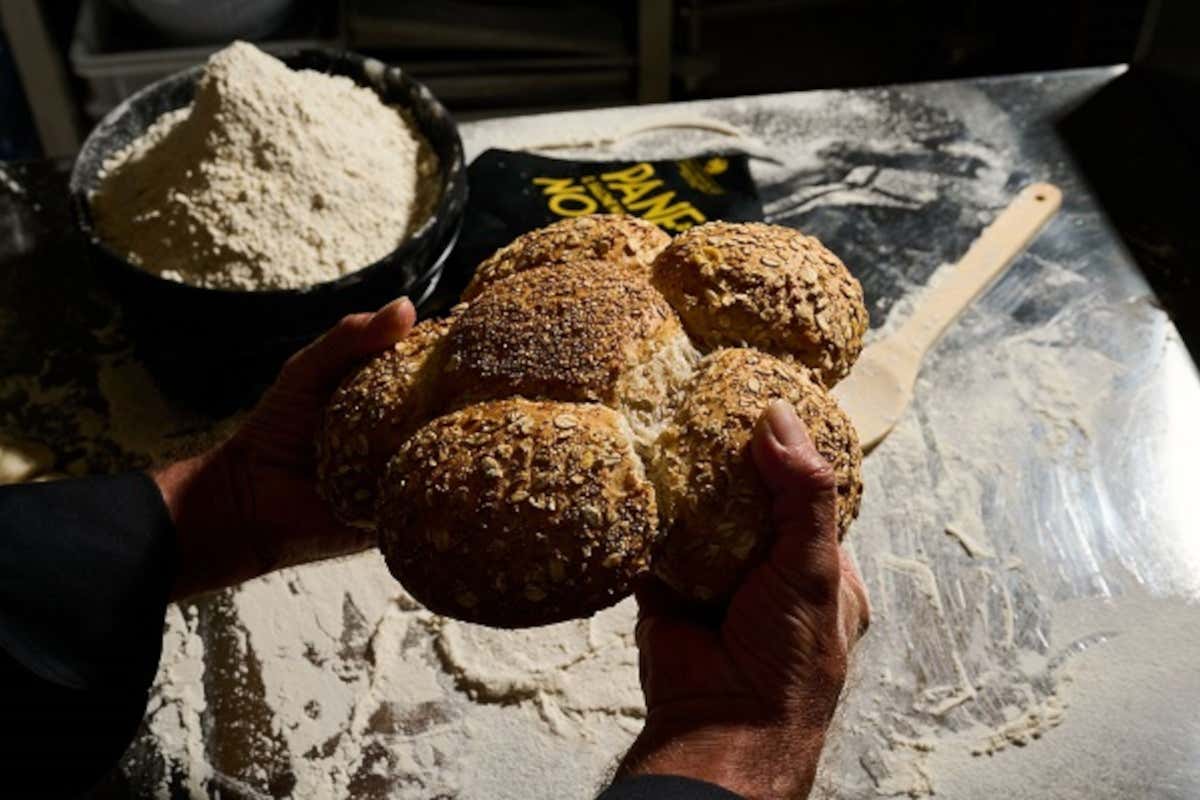Pane Nostrum 2025: Senigallia diventa capitale dell’arte bianca