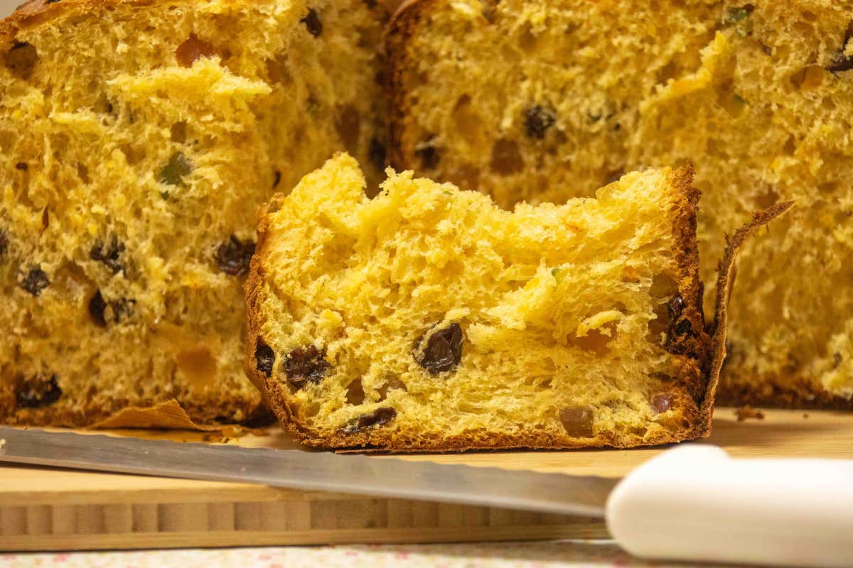 Come riconoscere (e fare) un panettone davvero artigianale