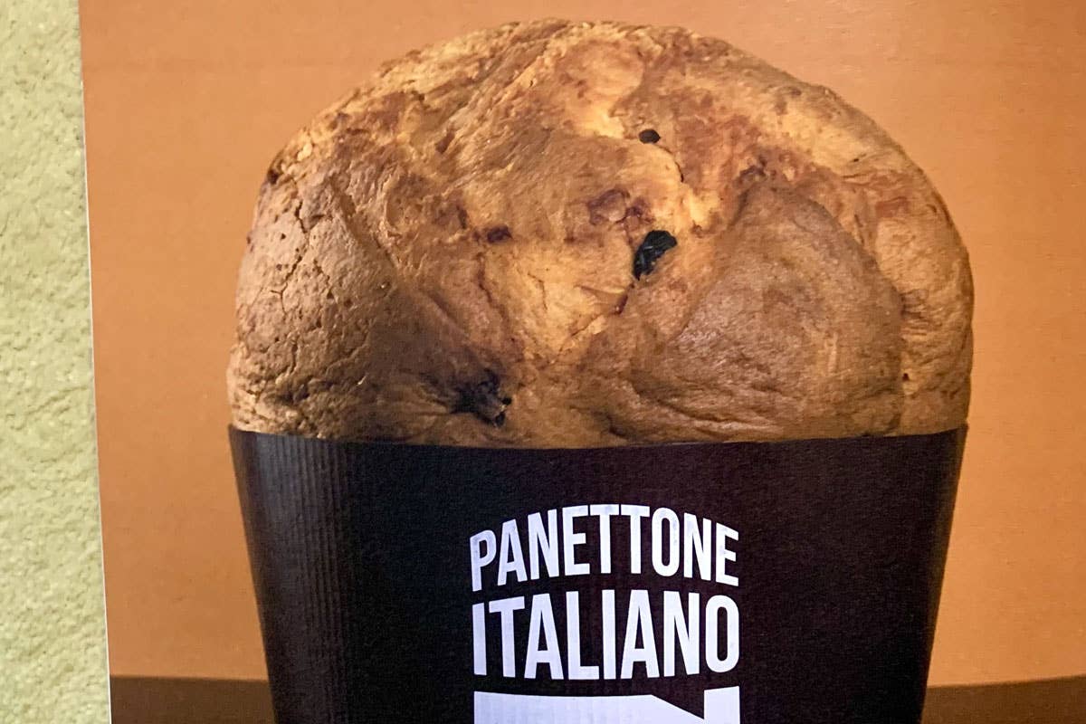 Panettone e lievito madre: quattro tecniche a confronto a Colorno