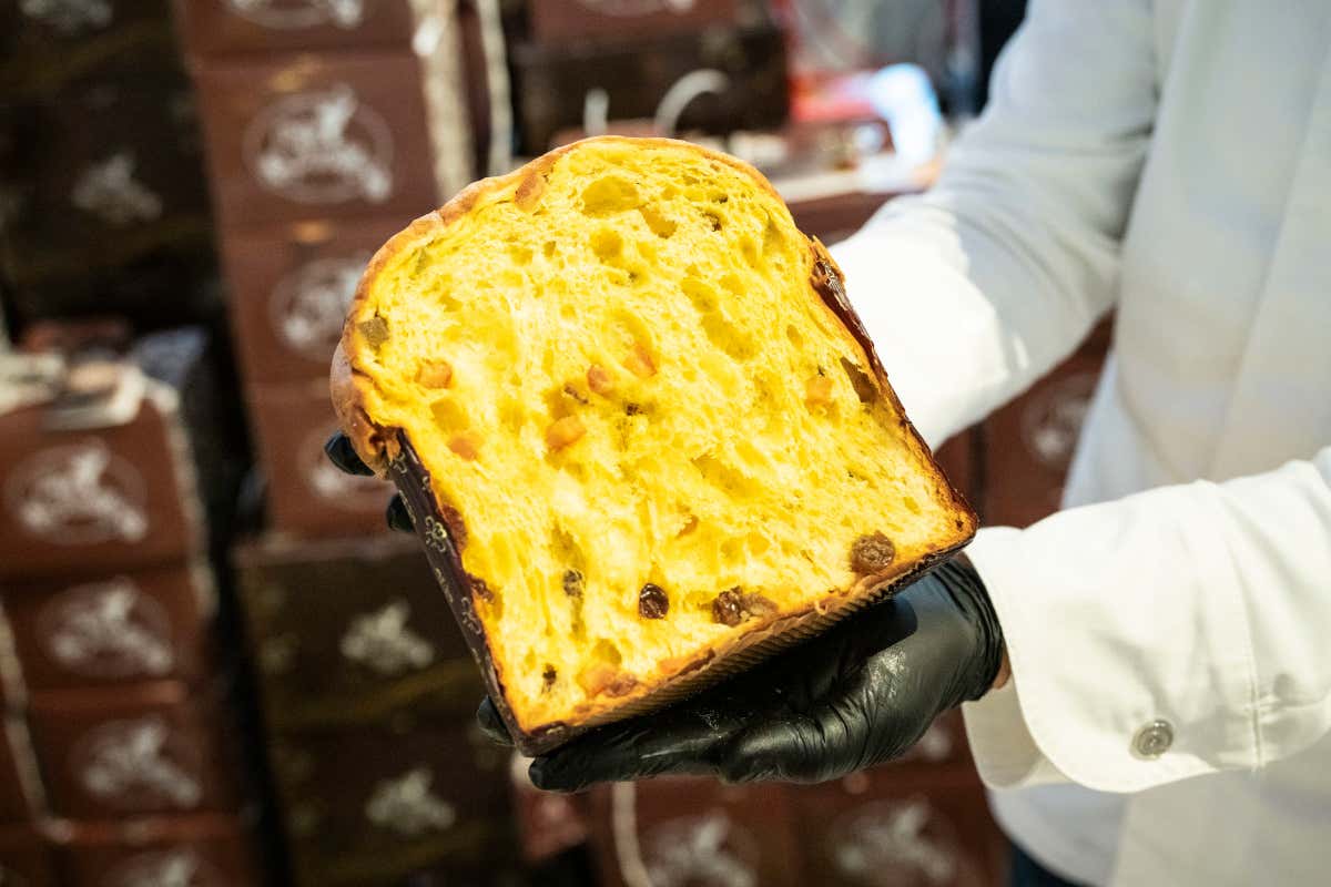 L’andamento dei grandi lievitati e il ruolo del panettone oggi