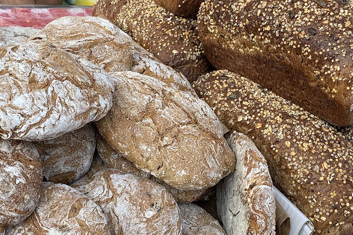 A Senigallia la 20ª edizione di Pane Nostrum con i lievitati in primo piano