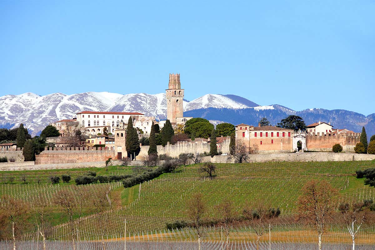 Il Prosecco Ottaviano esalta i sapori del Risotto della Principessa