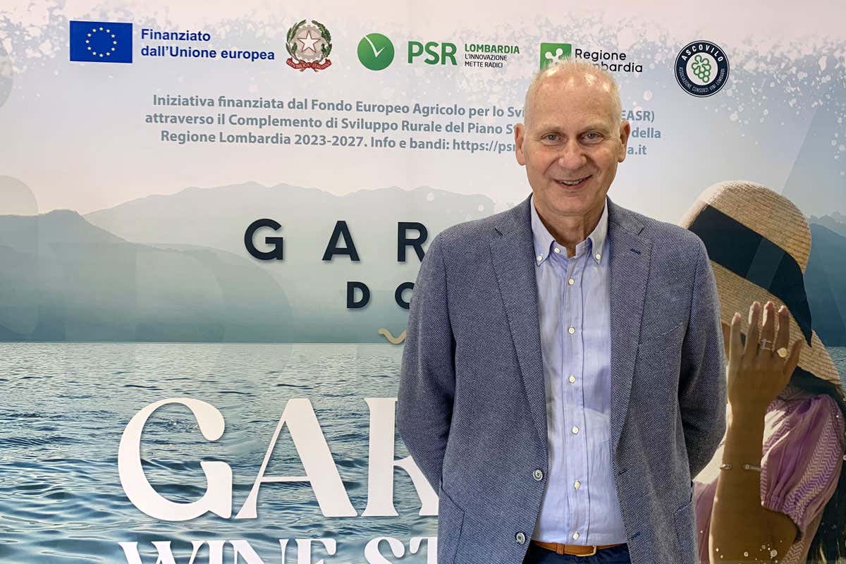 Consorzio Garda Doc tra vini low alcol, enoturismo e nuovi consumatori 