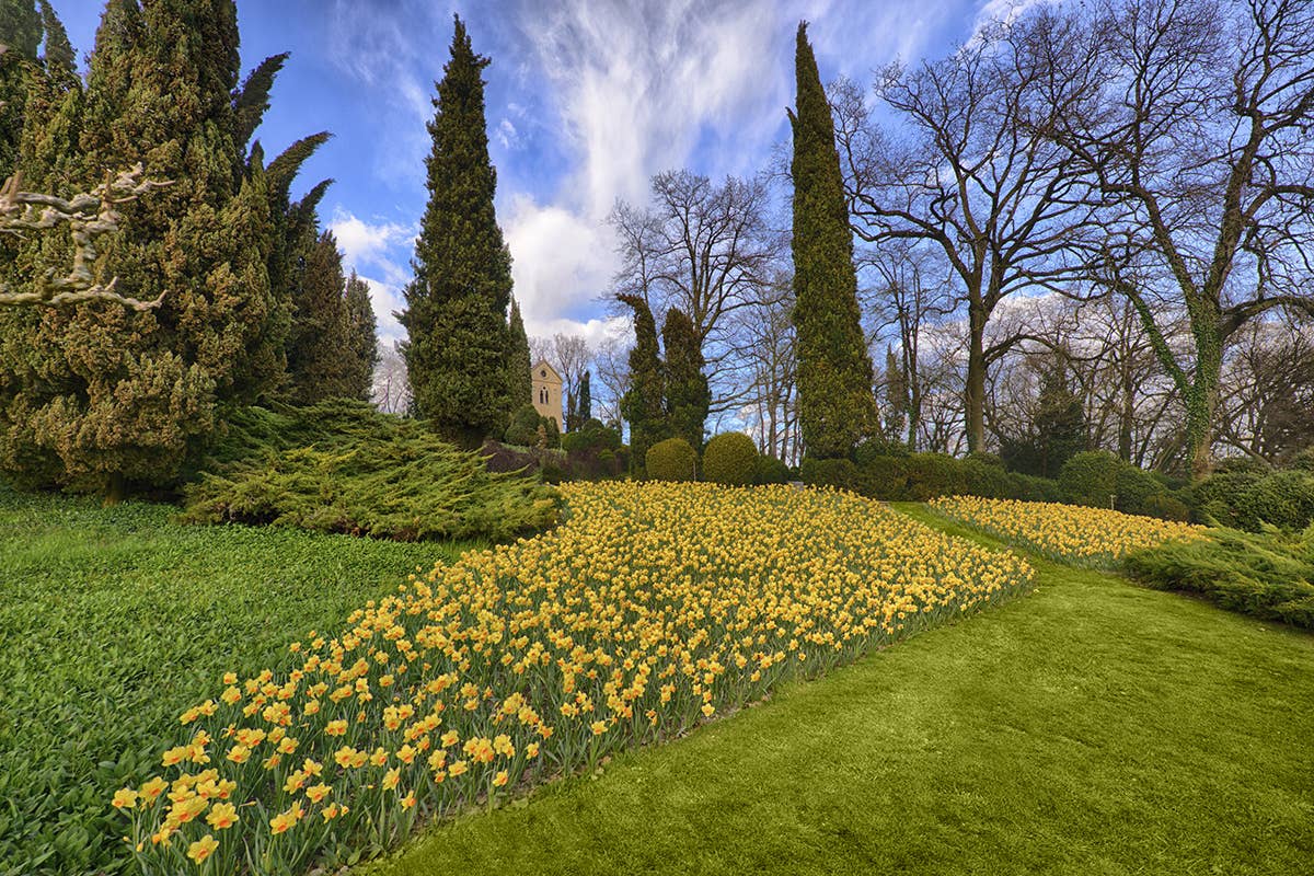 Ha 600mila metri quadrati di estensione Fiori, piante e animali fantastici: i tesori del Parco Giardino Sigurtà