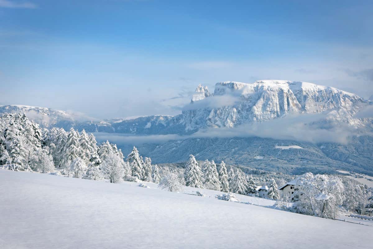 Tra le piste e i mercatini, un inverno incantato al Parkhotel Holzner
