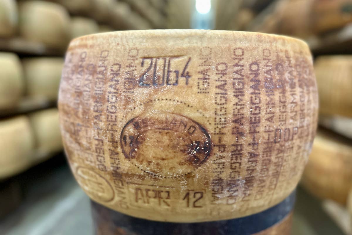 Parmigiano