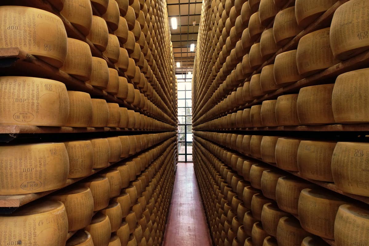 Parmigiano Reggiano: previsti 51,54 milioni di euro di ricavi nel 2025