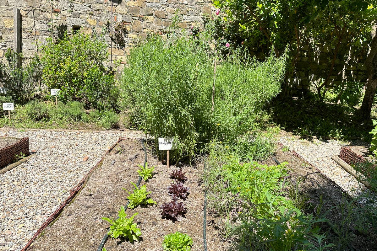 All'Osteria di Passignano la creatività della cucina nasce dall'orto