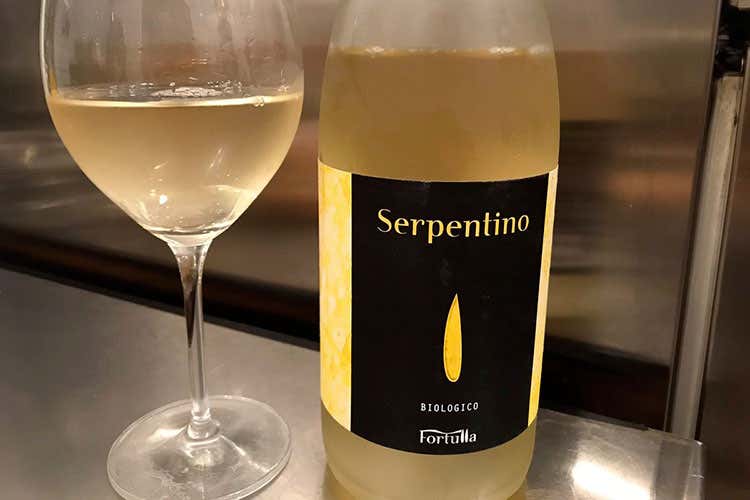 (La passione per un luogo unico La costa Toscana dei vigneti Fortulla) (La passione per un luogo unico La costa Toscana dei vigneti Fortulla)