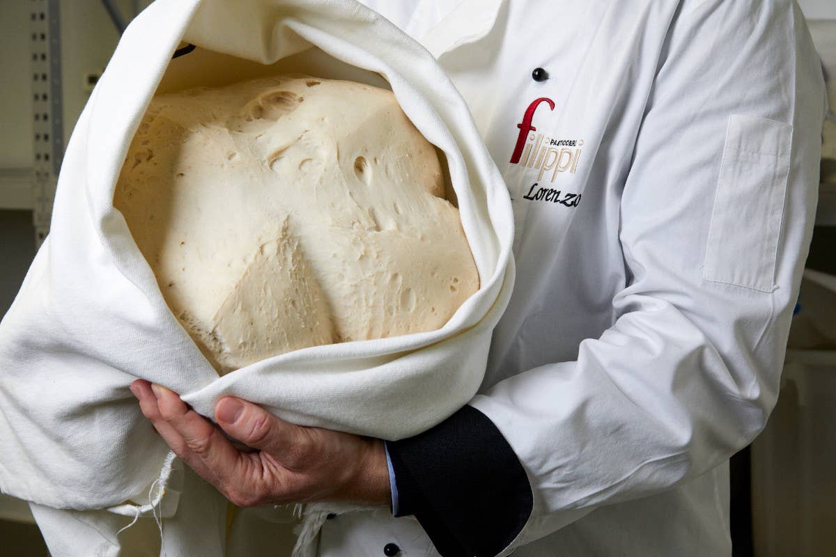 Pasta madre  Panettone Filippi, ad ogni morso... un sorso