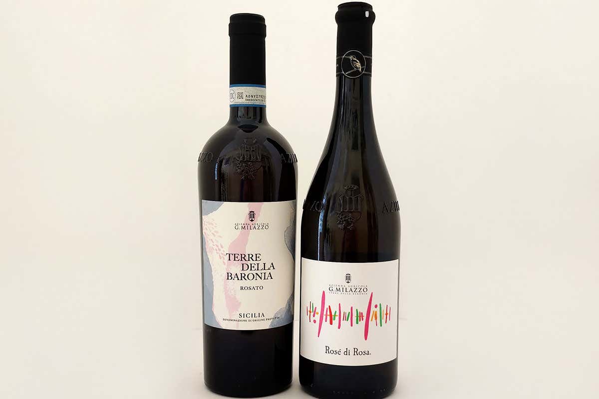 Dalla Sicilia due rosati che sorprendono: [Rosé di Rosa] e [Terre della Baronia] di Milazzo