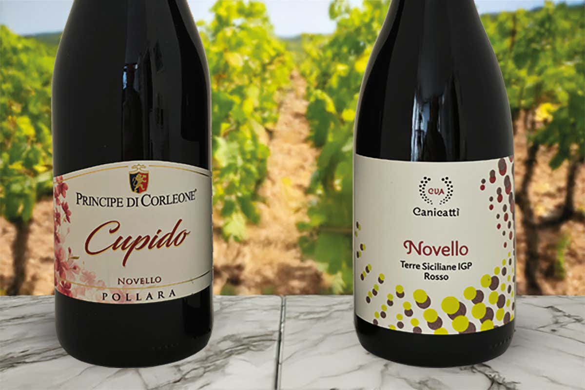 Il Novello in Sicilia non è morto: due Nero d’Avola lo dimostrano Il Novello in Sicilia non è morto: due Nero d’Avola lo dimostrano