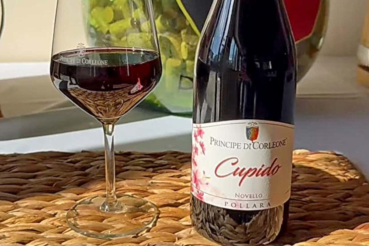 Il Novello in Sicilia non è morto: due Nero d’Avola lo dimostrano Il Novello in Sicilia non è morto: due Nero d’Avola lo dimostrano