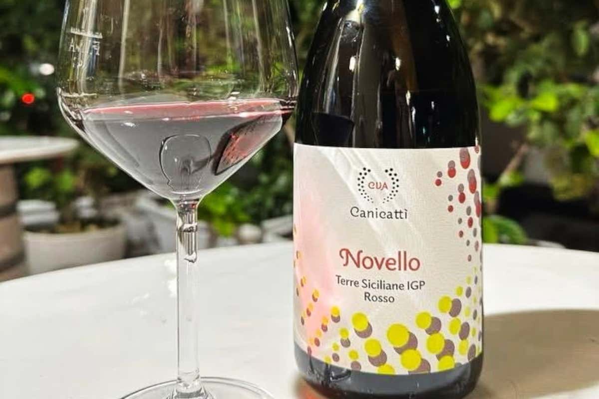 Il Novello in Sicilia non è morto: due Nero d’Avola lo dimostrano Il Novello in Sicilia non è morto: due Nero d’Avola lo dimostrano