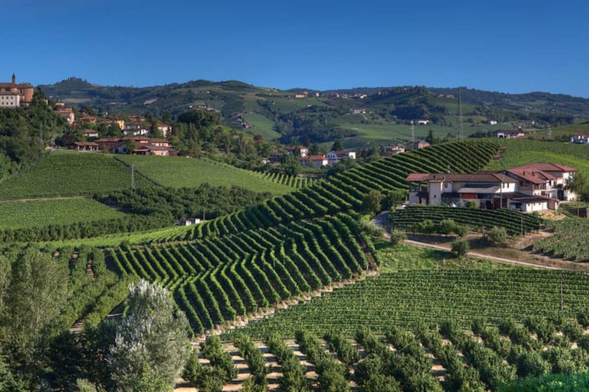 Pelissero, il Barbaresco del centenario celebra la storia dell'azienda