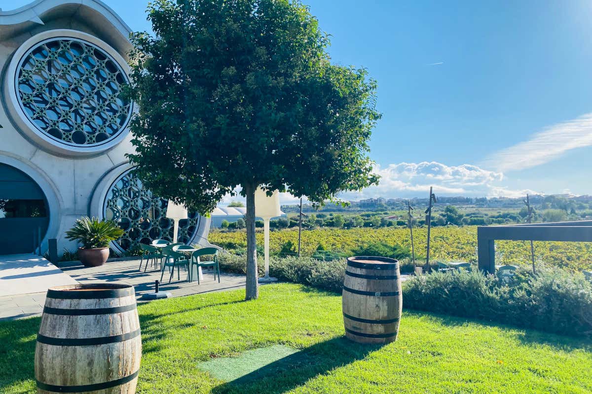 Viaggio fra le vigne del Penedès, la terra del Cava vicino a Barcellona