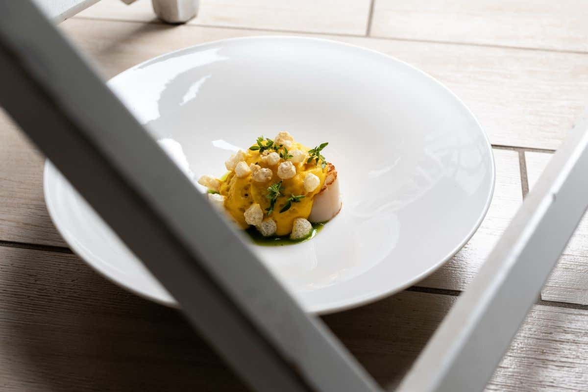 ll Pepe Nero di Capodimonte cambia tutto: nuovo concept e menu sul lago di Bolsena ll Pepe Nero di Capodimonte cambia tutto: nuovo concept e menu sul lago di Bolsena