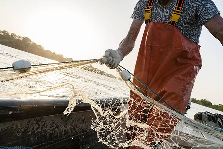 Aiuti anche ai pescatori Agricoltura, 2 miliardi per il rilancio Aiuti ai lavoratori e alle donne