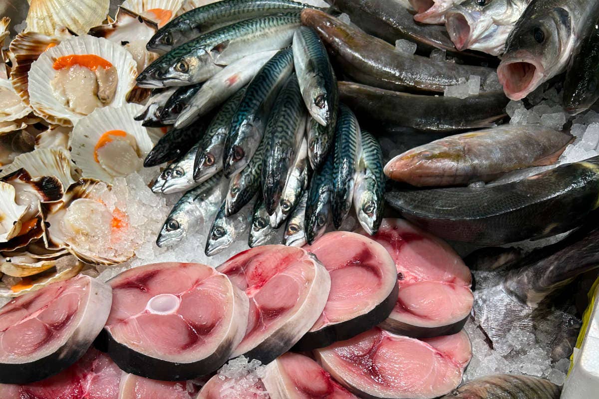 La Qualit Dei Prodotti Di Orobica Pesca Per Un Menu Natalizio A Base Di Pesce Italia A Tavola