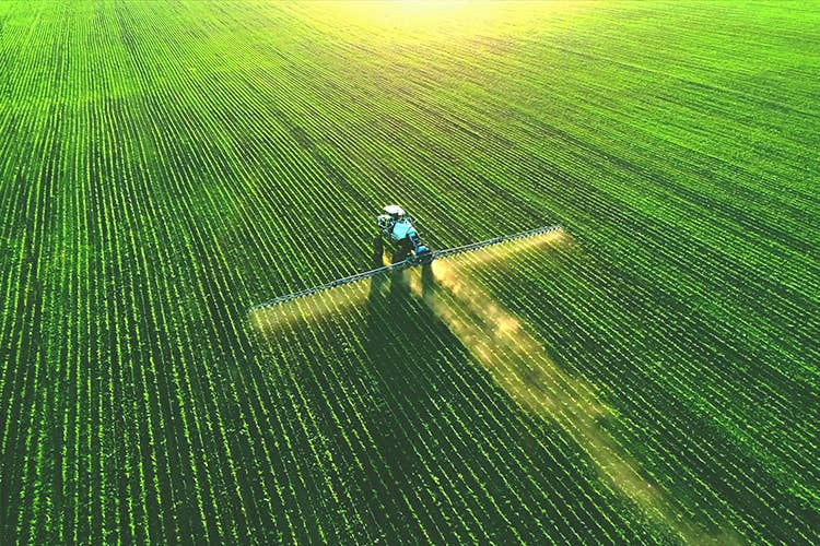 Pesticidi in agricoltura progetto europeo per diminuirli