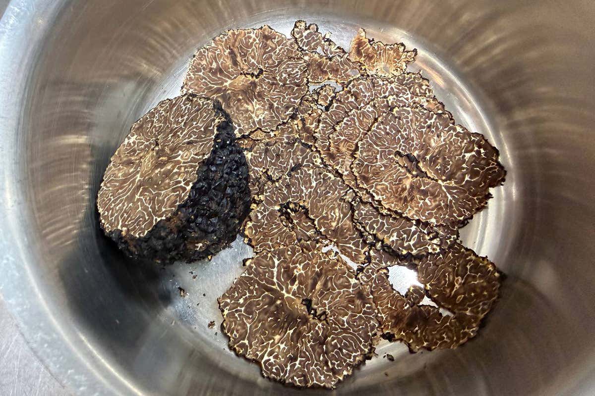 Don Alfonso 1890, il Matese e la rinascita del gusto: tre prodotti per salvare un territorio Don Alfonso 1890, il Matese e la rinascita del gusto: tre prodotti per salvare un territorio