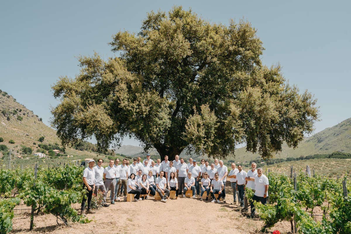 Il territorio di montagna siciliano nei “vini d'altura” di Baglio di Pianetto