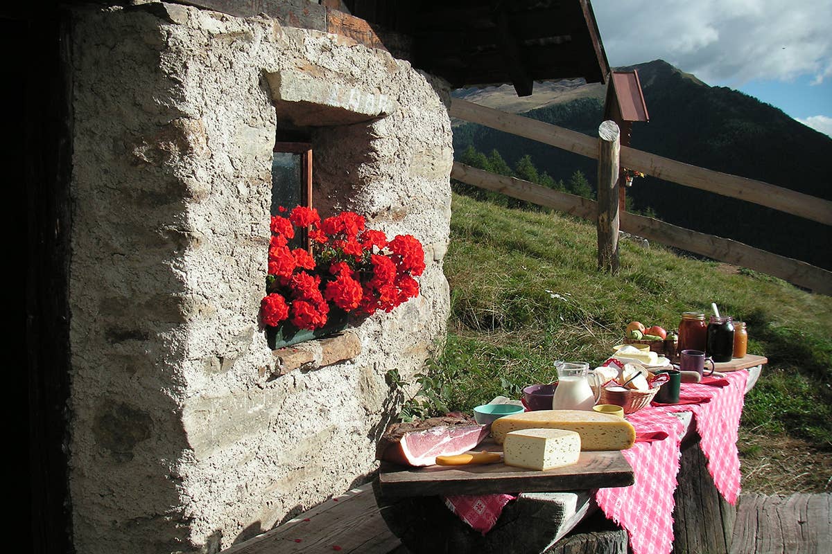 Piatti Tipici. Foto: Nicoletta Andreis In Val di Sole non ci sono più le mezze stagioni, ma sinfonie!