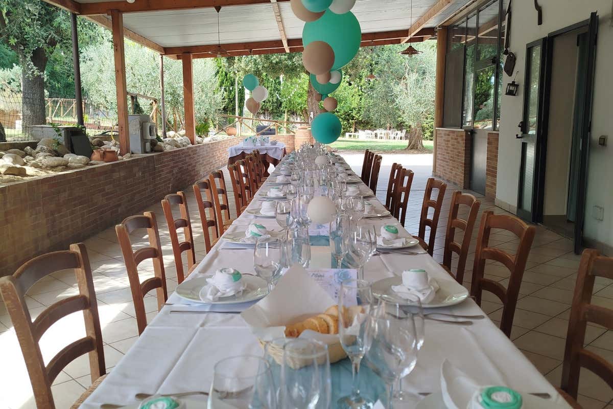 Un viaggio di due giorni nel Piceno: borghi sospesi, vini e cucina di tradizione