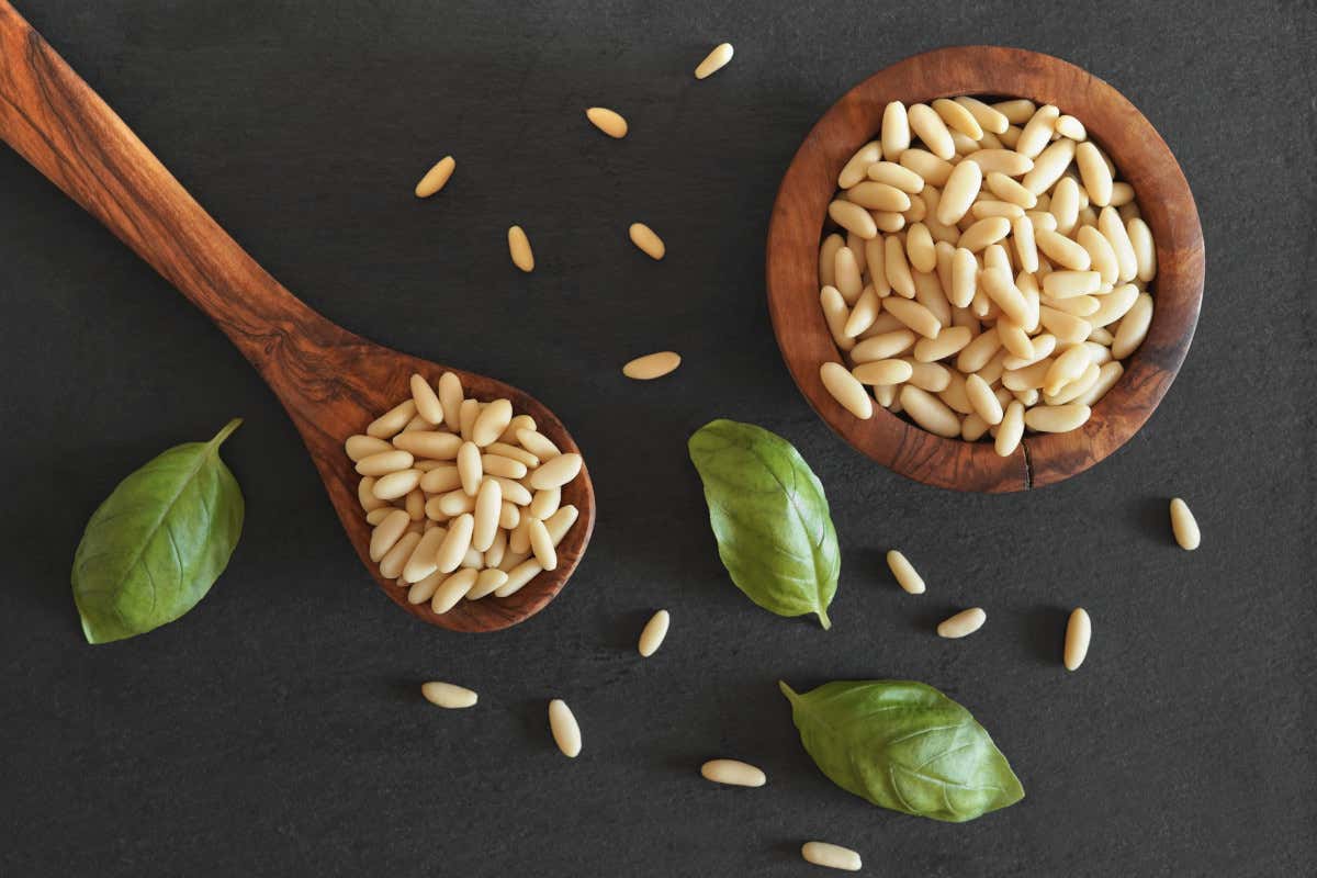 Pinoli, piccoli semi dal grande valore: storia, proprietà e usi in cucina Pinoli, piccoli semi dal grande valore: storia, proprietà e usi in cucina