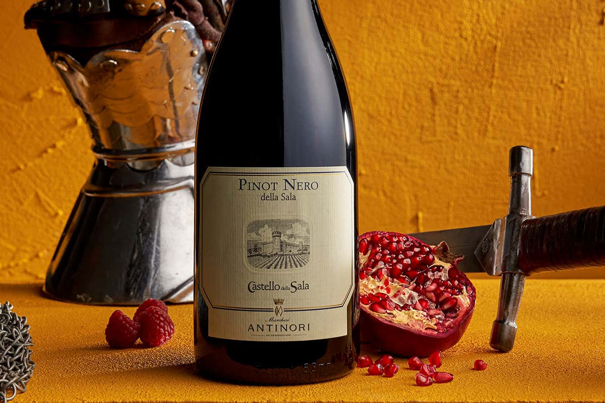 Pinot Nero Castello della Sala, Cervaro della Sala trascina altre ottime etichette