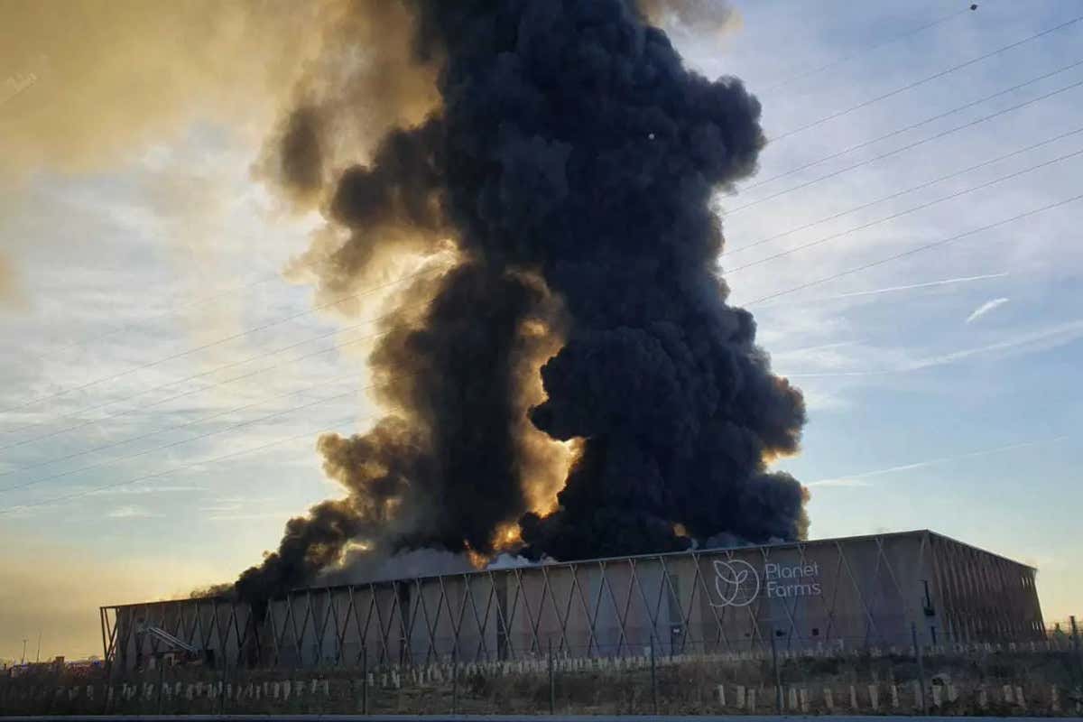 Cavenago, un incendio colpisce la Planet Farms: fumo visibile dall'A4